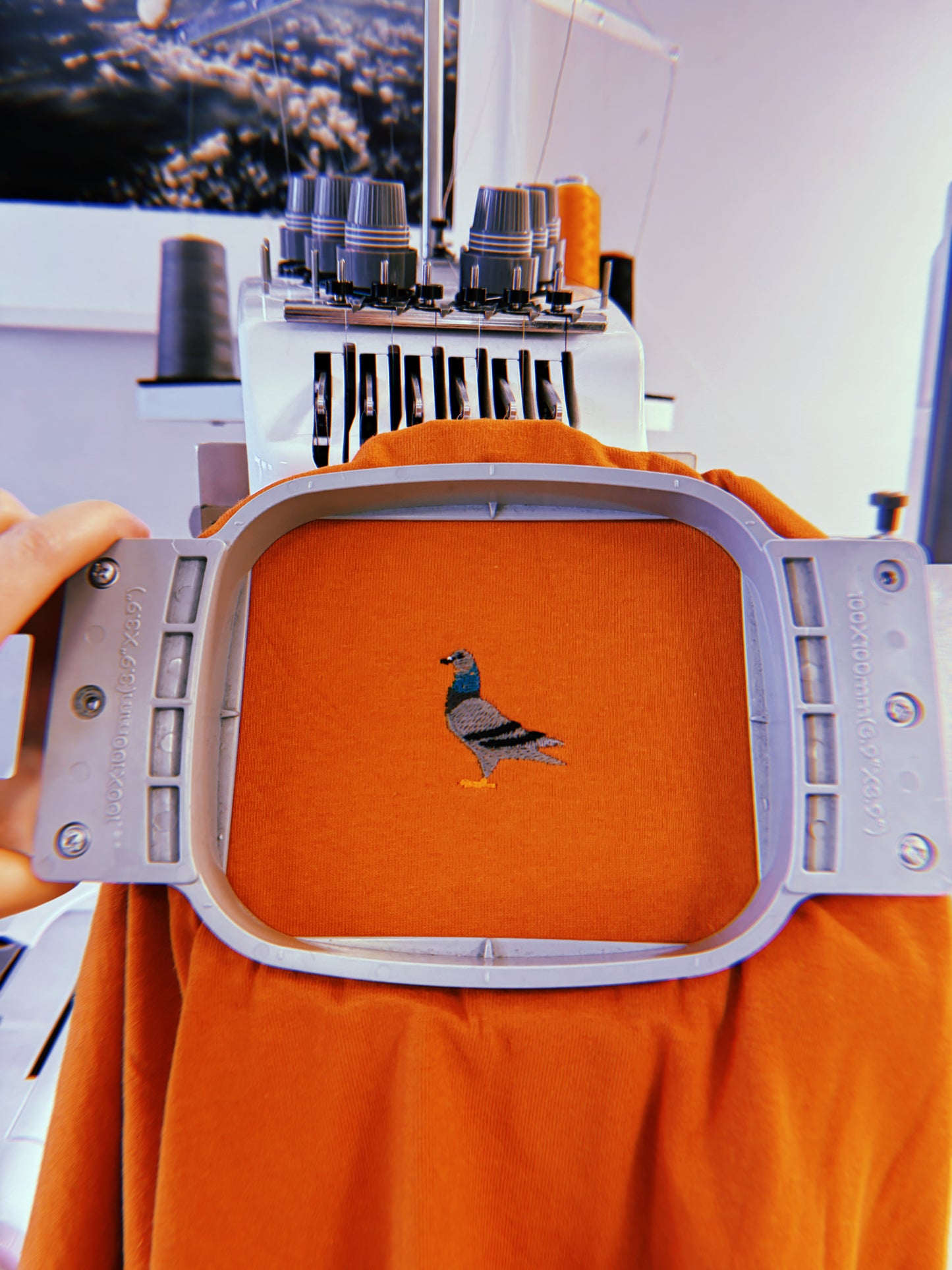 Pigeon - Unisex Embroidered Print