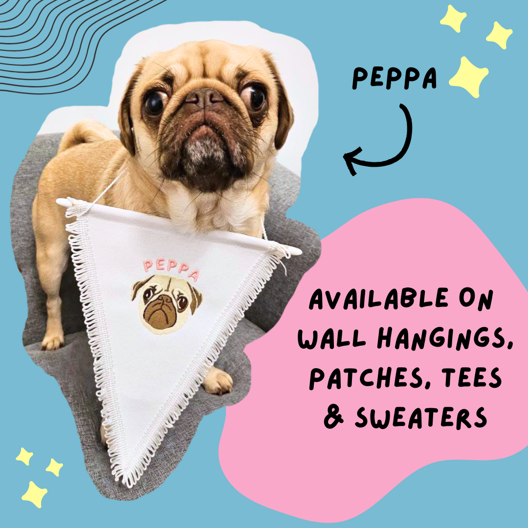 Pet Portraits